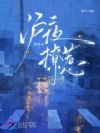 沪夜撩惹